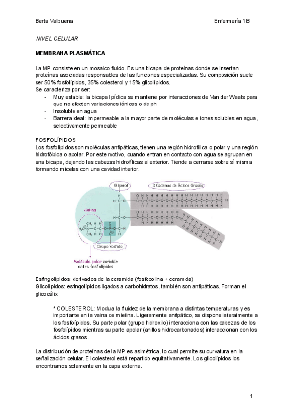 Miniatura del documento Biologia-Citologia.pdf