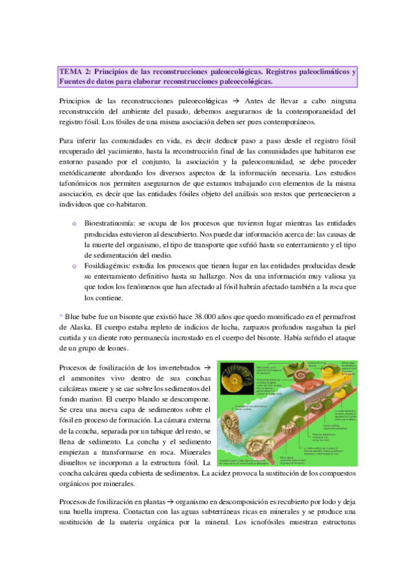 Miniatura del documento Tema-2.pdf