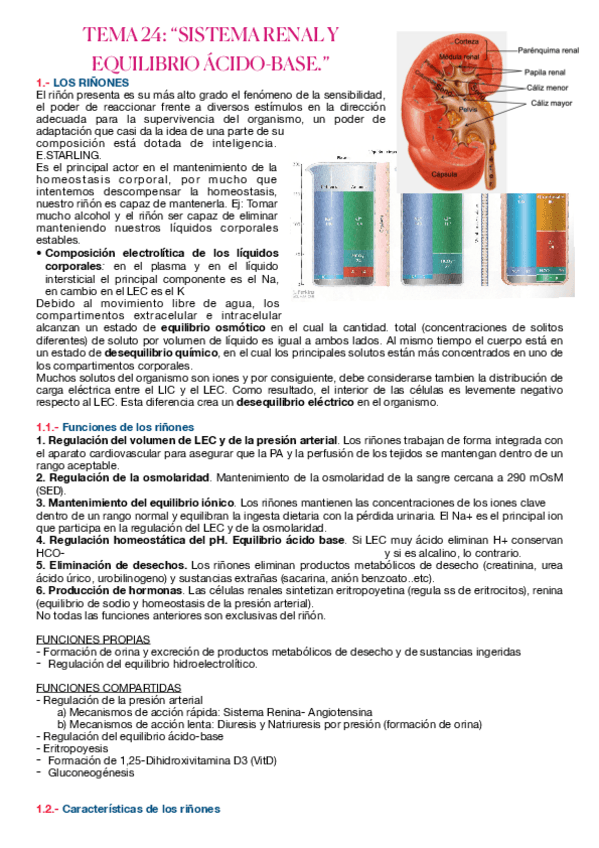 Miniatura del documento APUNTES-FISOLOGIA-PARTE-EVA.pdf