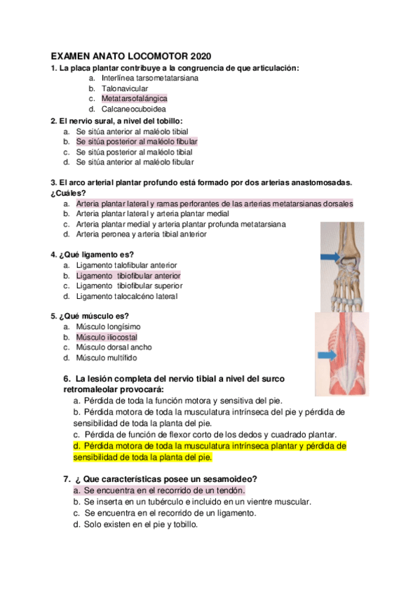 Miniatura del documento EXAMEN-ANATO-LOCOMOTOR-2020-2.pdf