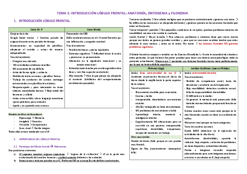 Miniatura del documento F-1.-Introduccion-lobulo-frontal.pdf