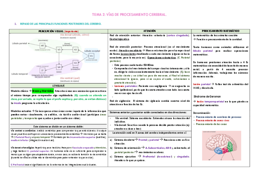 Miniatura del documento F-2-Vias-de-procesamiento-cerebral.pdf