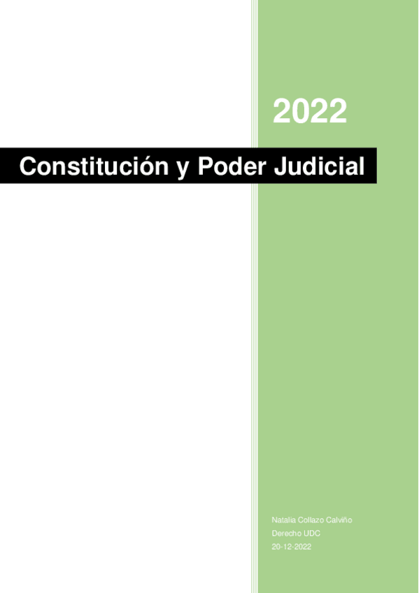 Miniatura del documento Judicial.pdf
