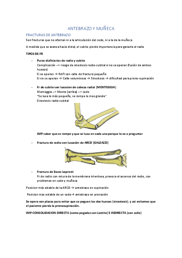Miniatura del documento ANTEBRAZO-Y-MUNECA.pdf