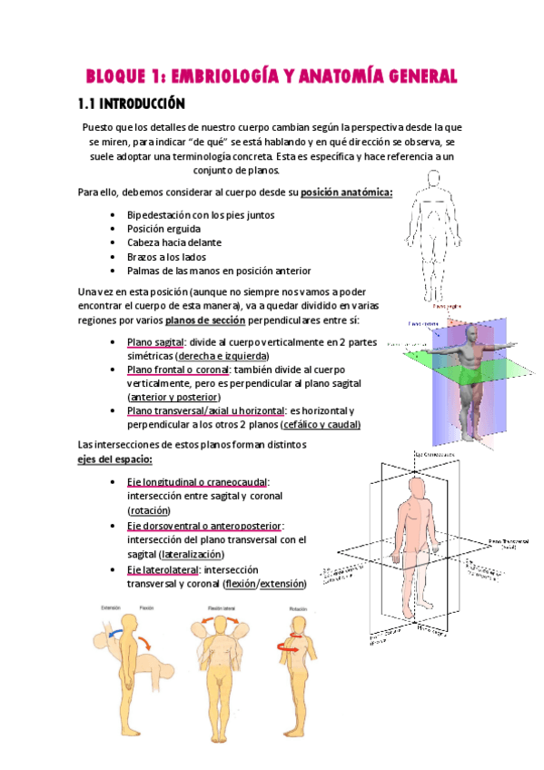 Miniatura del documento EMBRIOLOGIA-Y-ANATOMIA-GENERAL.pdf