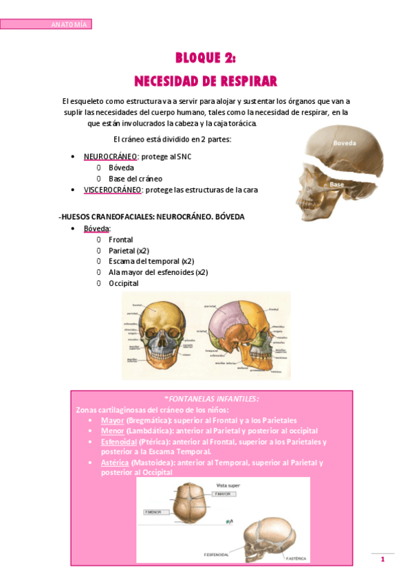 Miniatura del documento NECESIDAD-DE-RESPIRAR.pdf