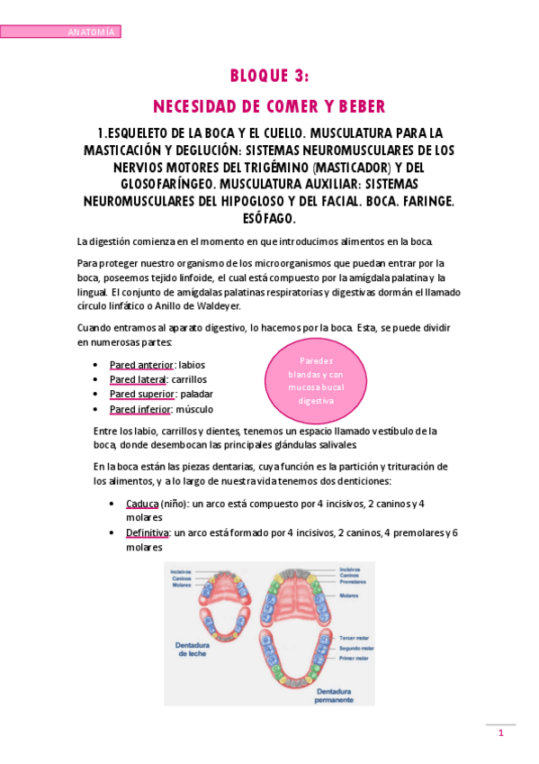 Miniatura del documento NECESIDAD-DE-ALIMENTARSE.pdf
