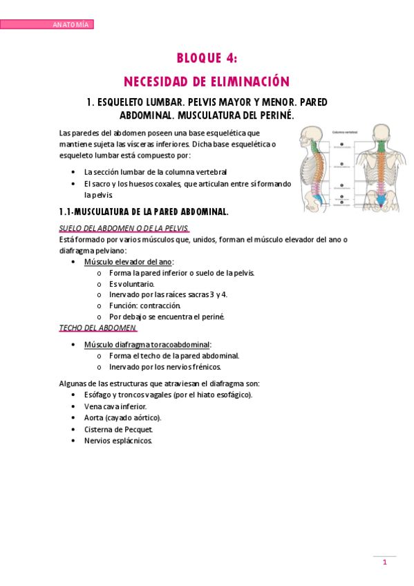 Miniatura del documento NECESIDAD-DE-ELIMINACION.pdf