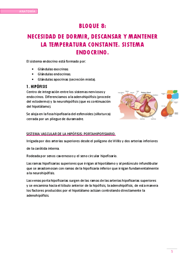 Miniatura del documento NECESIDAD-DE-DORMIR.pdf