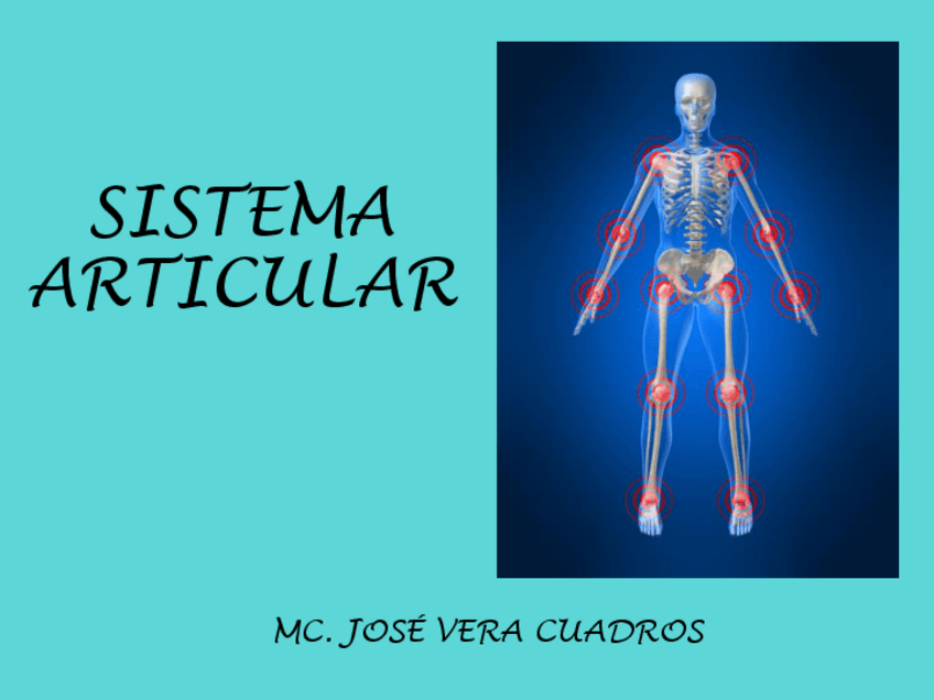 Miniatura del documento ANATOM-CLASE-3.pdf