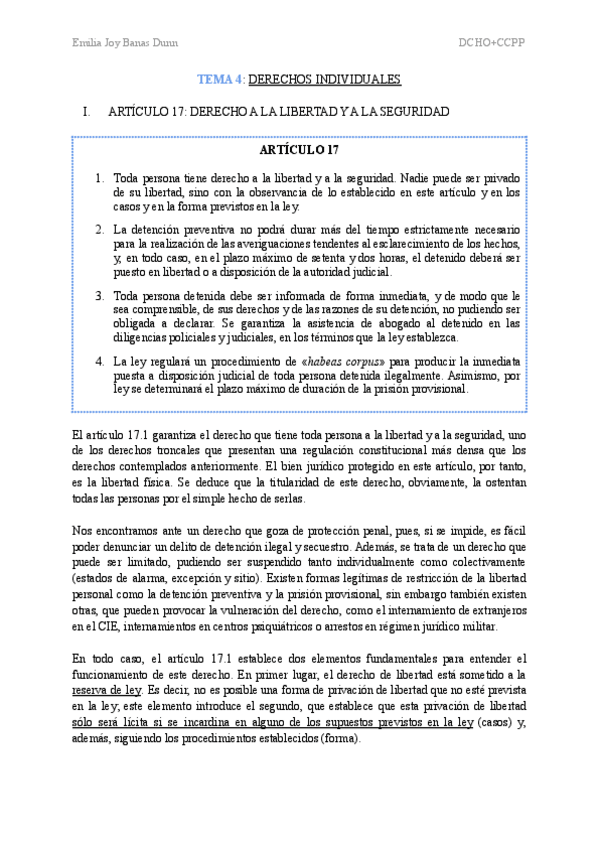 Miniatura del documento DERECHO-CONSTITUCIONAL-II-TEMA-4.pdf