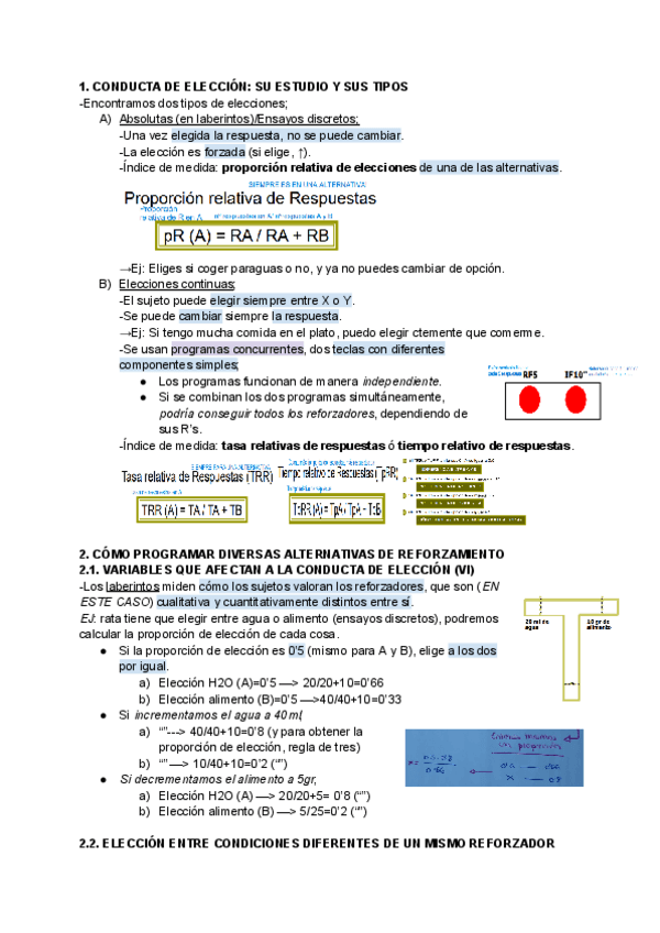 Miniatura del documento T11-PROGRAMAS-DE-REFORZAMIENTO-CONCURRENTE-Y-CONDUCTA-DE-ELECCION.pdf