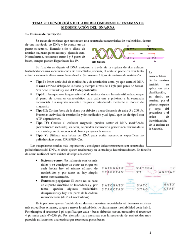 Miniatura del documento Temario-completo-G.molecular.pdf
