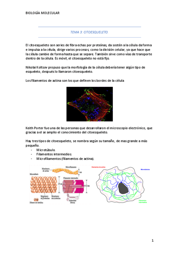 Miniatura del documento BIOLOGIA3-2TRIMESTRE.pdf