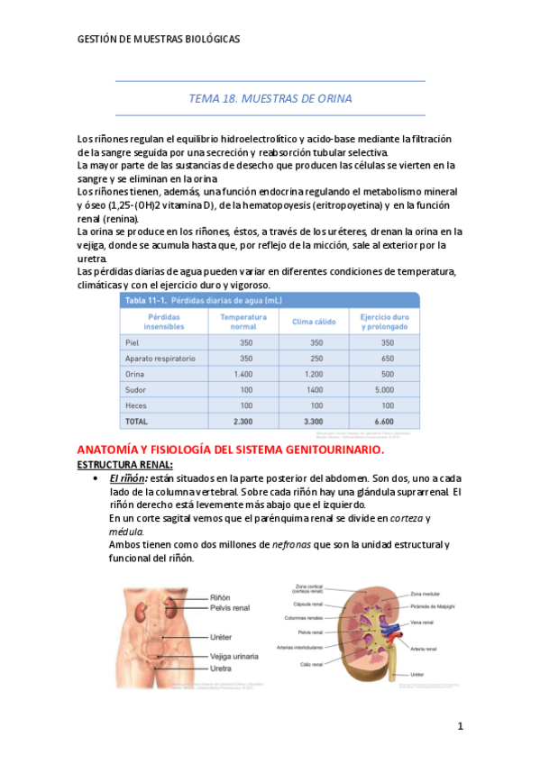 Miniatura del documento TEMA-18.pdf