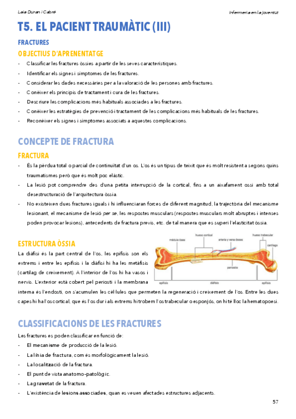 Miniatura del documento 7PacienttraumaticIII.pdf