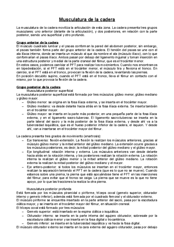 Miniatura del documento Musculatura de la cadera.pdf