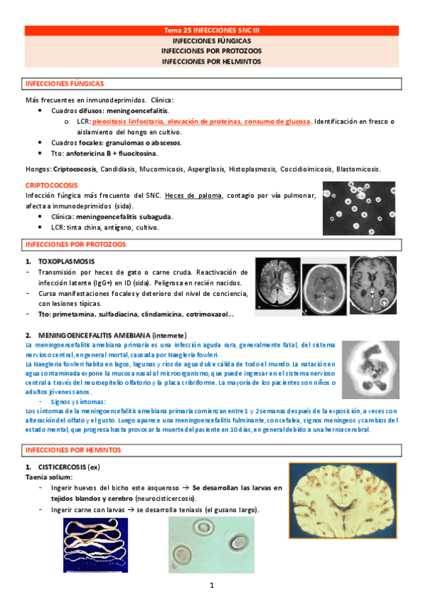 Miniatura del documento Tema-25-INFECCIONES-SNC-III.pdf