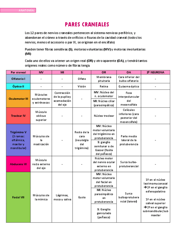 Miniatura del documento PARES-CRANEALES.pdf