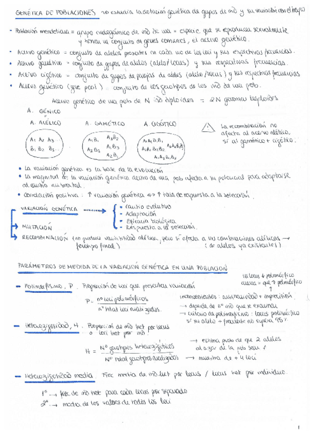 Miniatura del documento poblacional.pdf