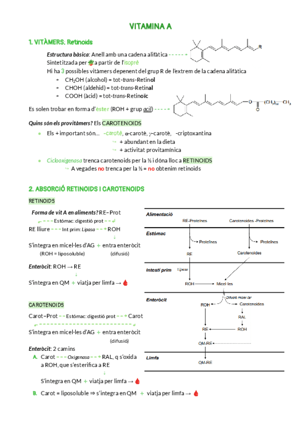 Miniatura del documento VITAMINA-A.pdf