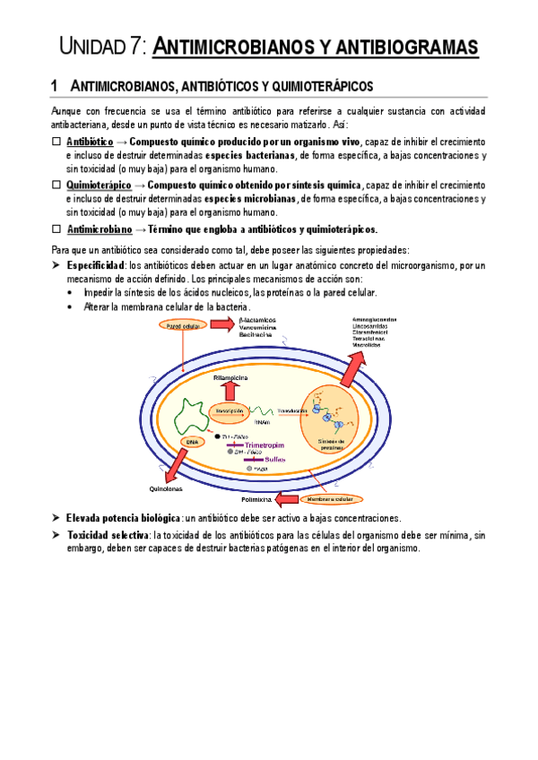 Miniatura del documento Unidad-7.pdf