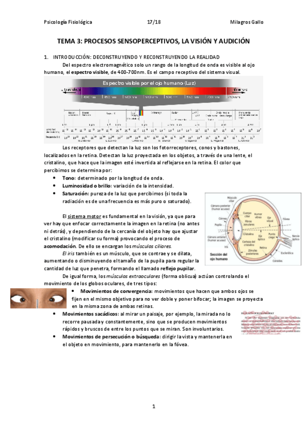 Miniatura del documento TEMA 3.pdf