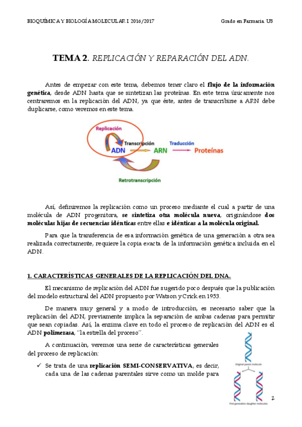 Miniatura del documento TEMA 2 REPLICACION.pdf