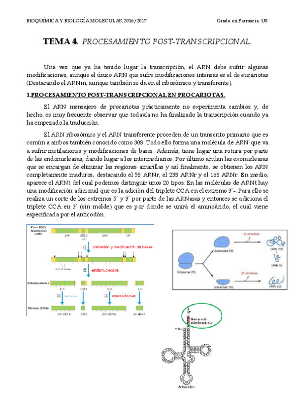 Miniatura del documento TEMA 4 PROCESAMIENTO.pdf