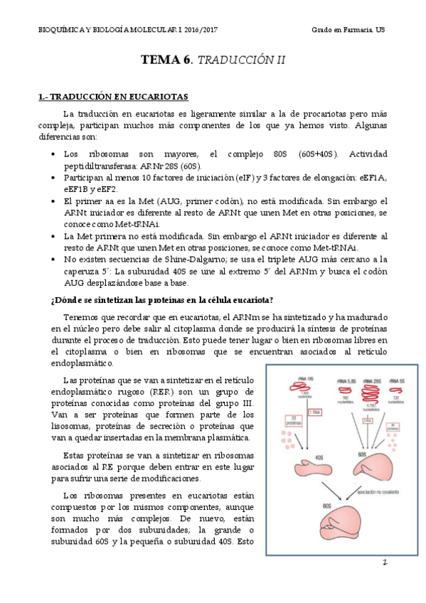 Miniatura del documento TEMA 6 TRADUCCIÓN II.pdf