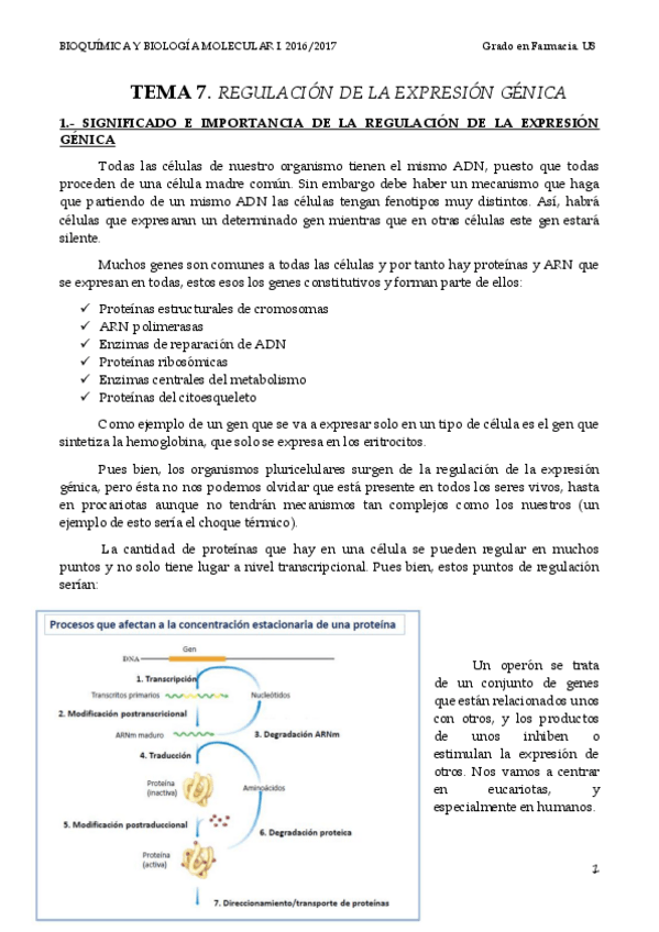 Miniatura del documento TEMA 7  EXPRESIÓN GÉNICA.pdf