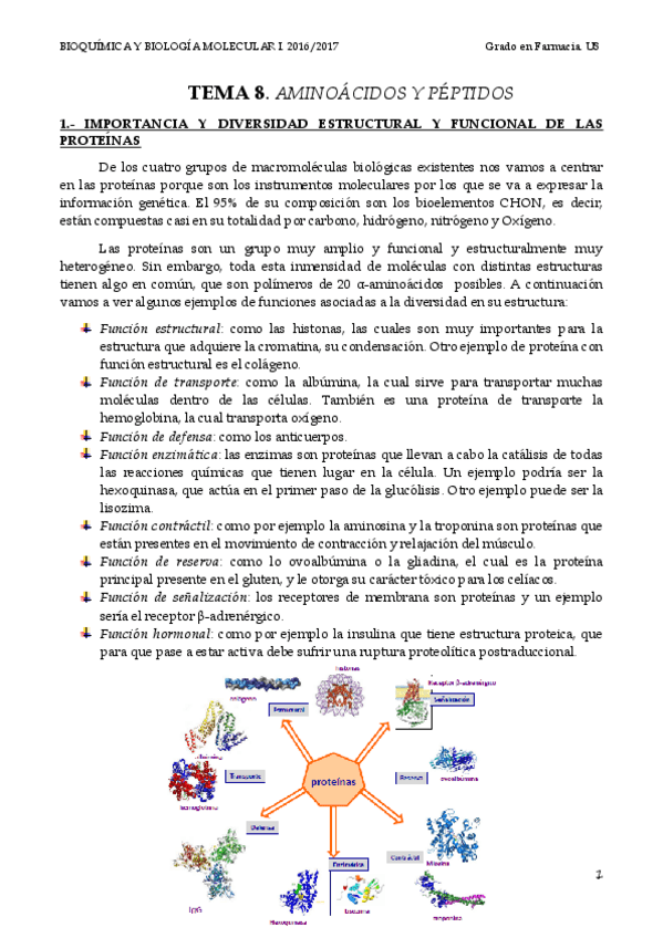 Miniatura del documento TEMA 8 PROTEÍNAS.pdf