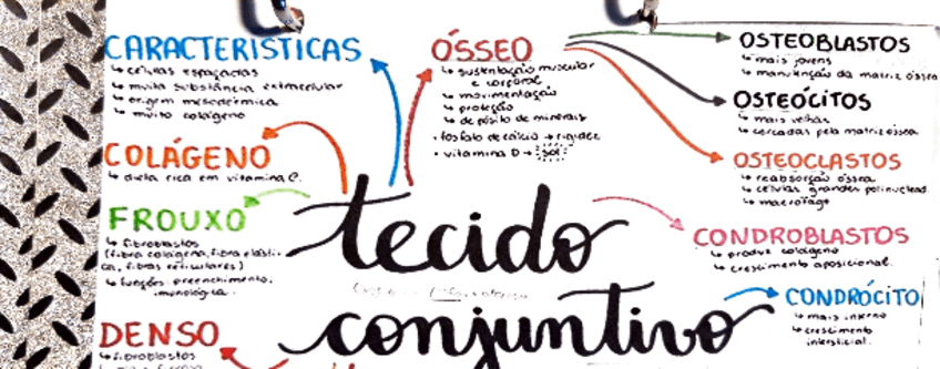 Miniatura del documento TEJIDO-CONJUNTIVOCARACTERISTICASLIQUIDO-INTERSTICIAL-Y-CELULASCLASIFICACION-Y-FUNCIONESTEJIDO-SANGUINEOTEJIDO-OSEOTEJIDO-CARTILAGINOSO.pdf