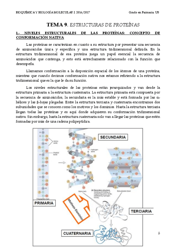 Miniatura del documento TEMA 9 NIVELES ESTRUCTURALES.pdf