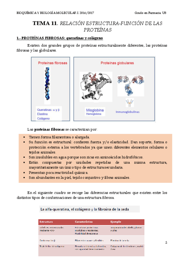 Miniatura del documento TEMA 11 ESTRUCTURA-FUNCIÓN PROTEÍNAS.pdf