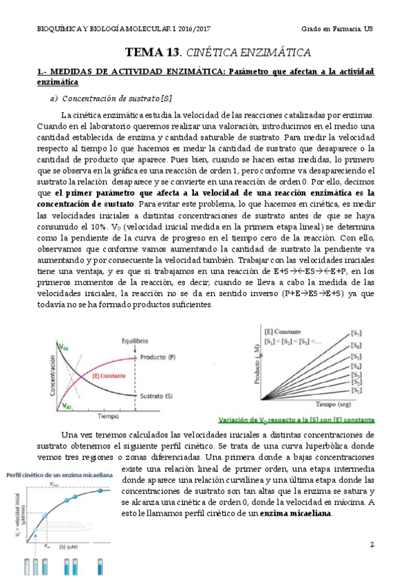 Miniatura del documento TEMA 13 CINÉTICA ENZIMÁTICA.pdf