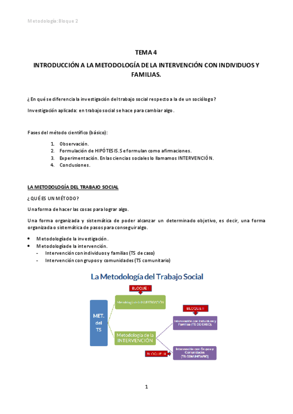 Miniatura del documento METODOLOGIA-TS-BLOQUE-2-NURIA-temas-4-5-6-y-7.pdf