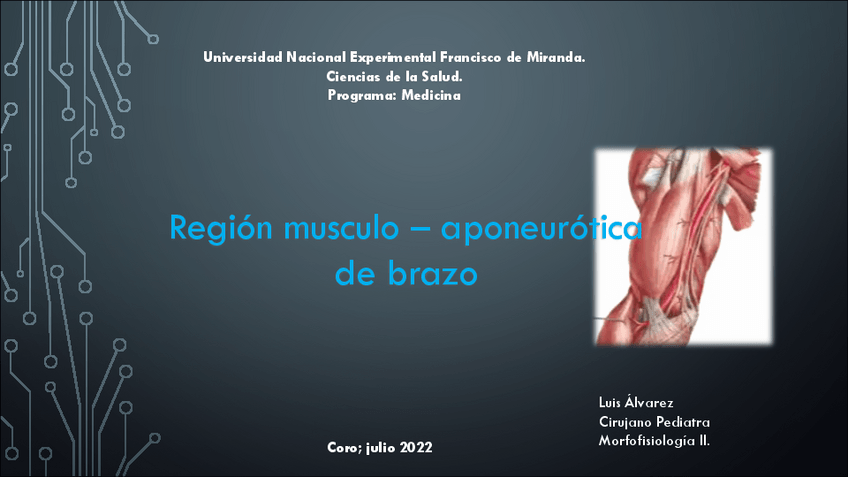 Miniatura del documento Músculos del brazo.pdf