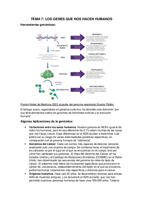 Miniatura del documento TEMA-7.pdf
