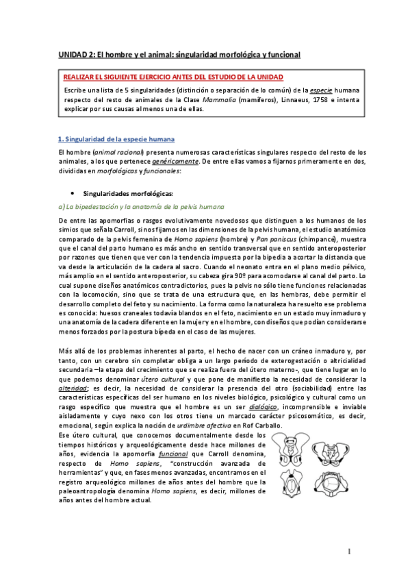 Miniatura del documento Tema-2.pdf