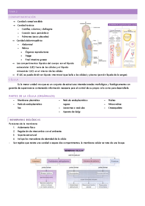 Miniatura del documento tema-2.pdf