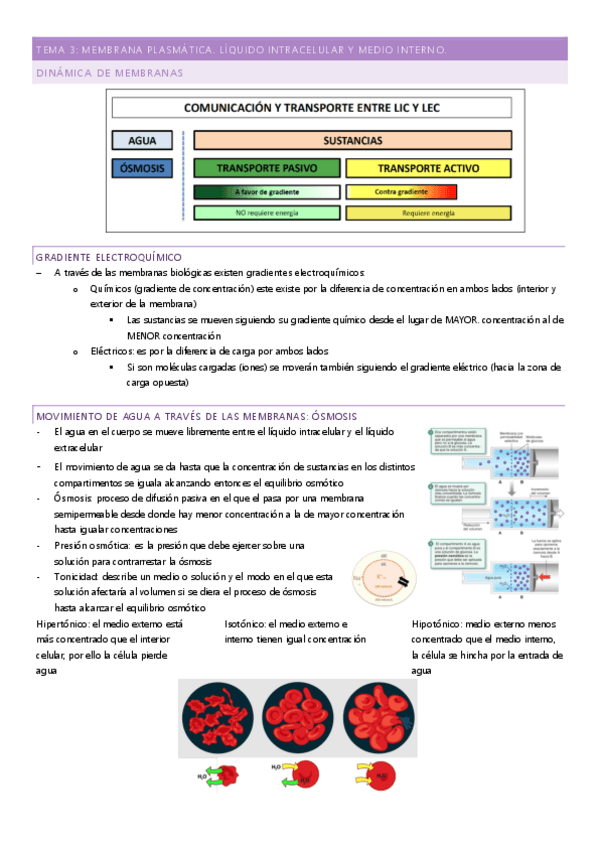 Miniatura del documento tema-3.pdf