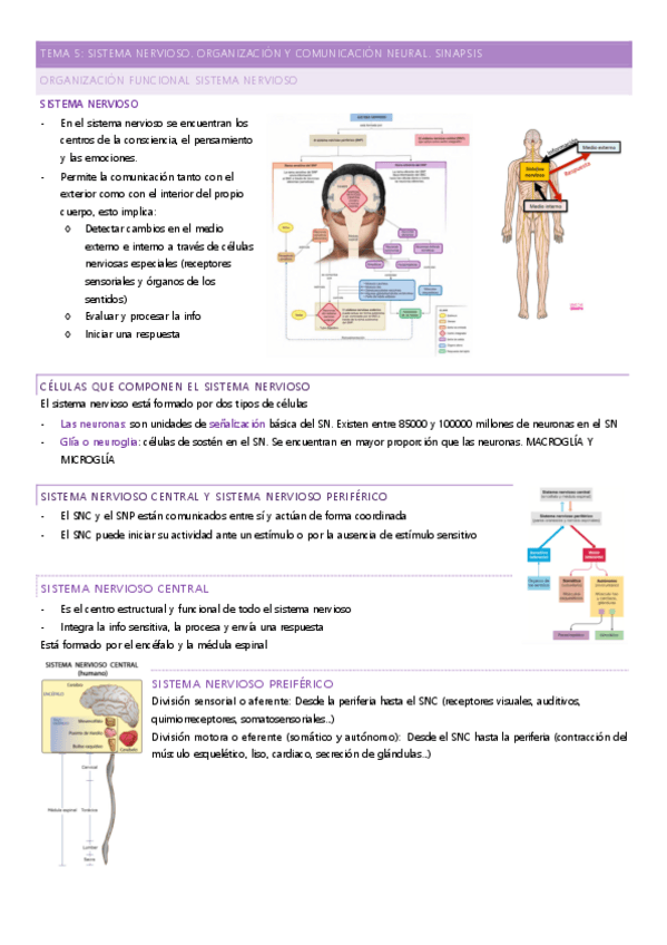 Miniatura del documento tema-5.pdf
