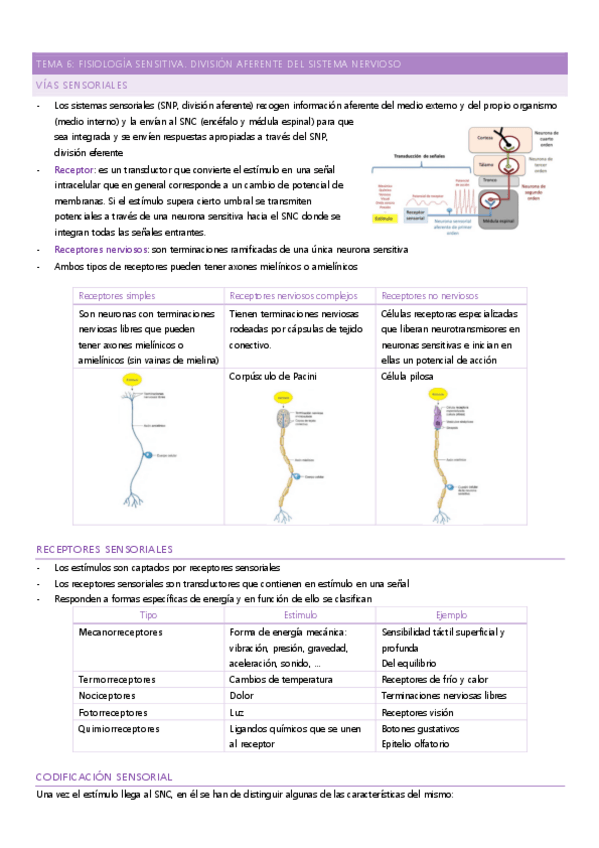 Miniatura del documento tema-6.pdf