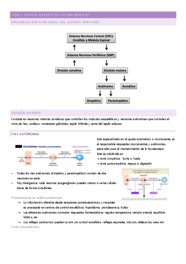 Miniatura del documento tema-7.pdf