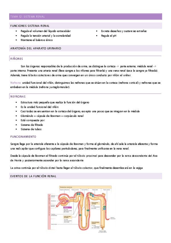 Miniatura del documento tema-12.pdf
