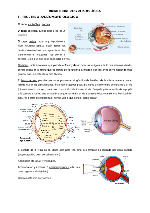 Miniatura del documento Oftalmo-apuntes.pdf