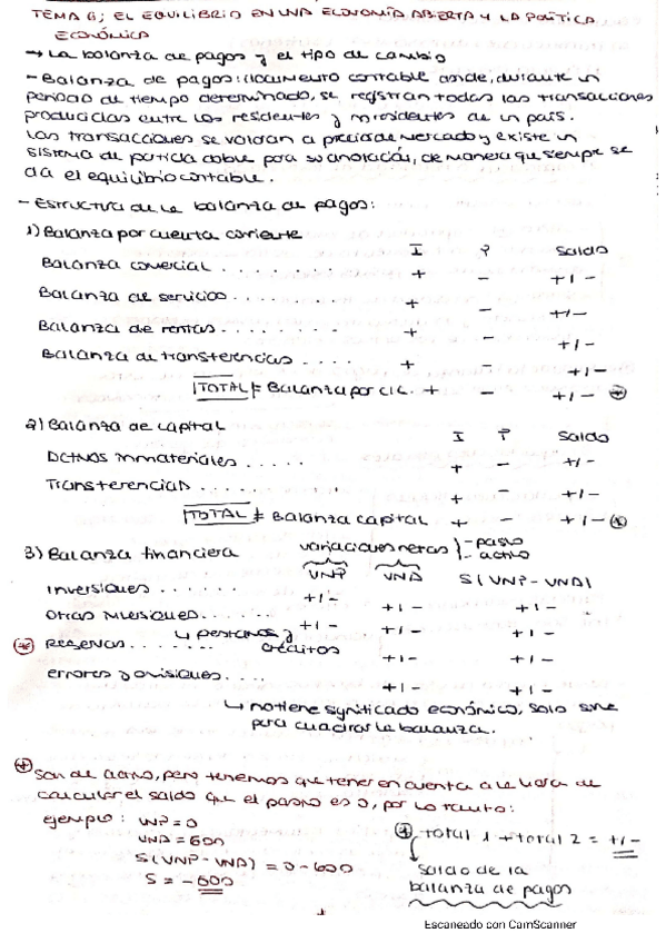 Miniatura del documento Tema-6-Macroeconomia.pdf