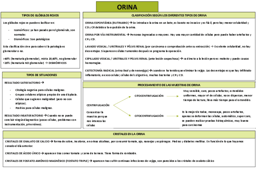 Miniatura del documento ESQUEMA-ORINA.pdf
