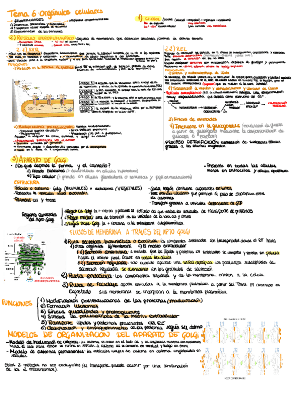 Miniatura del documento Apuntes-Tema-6.pdf
